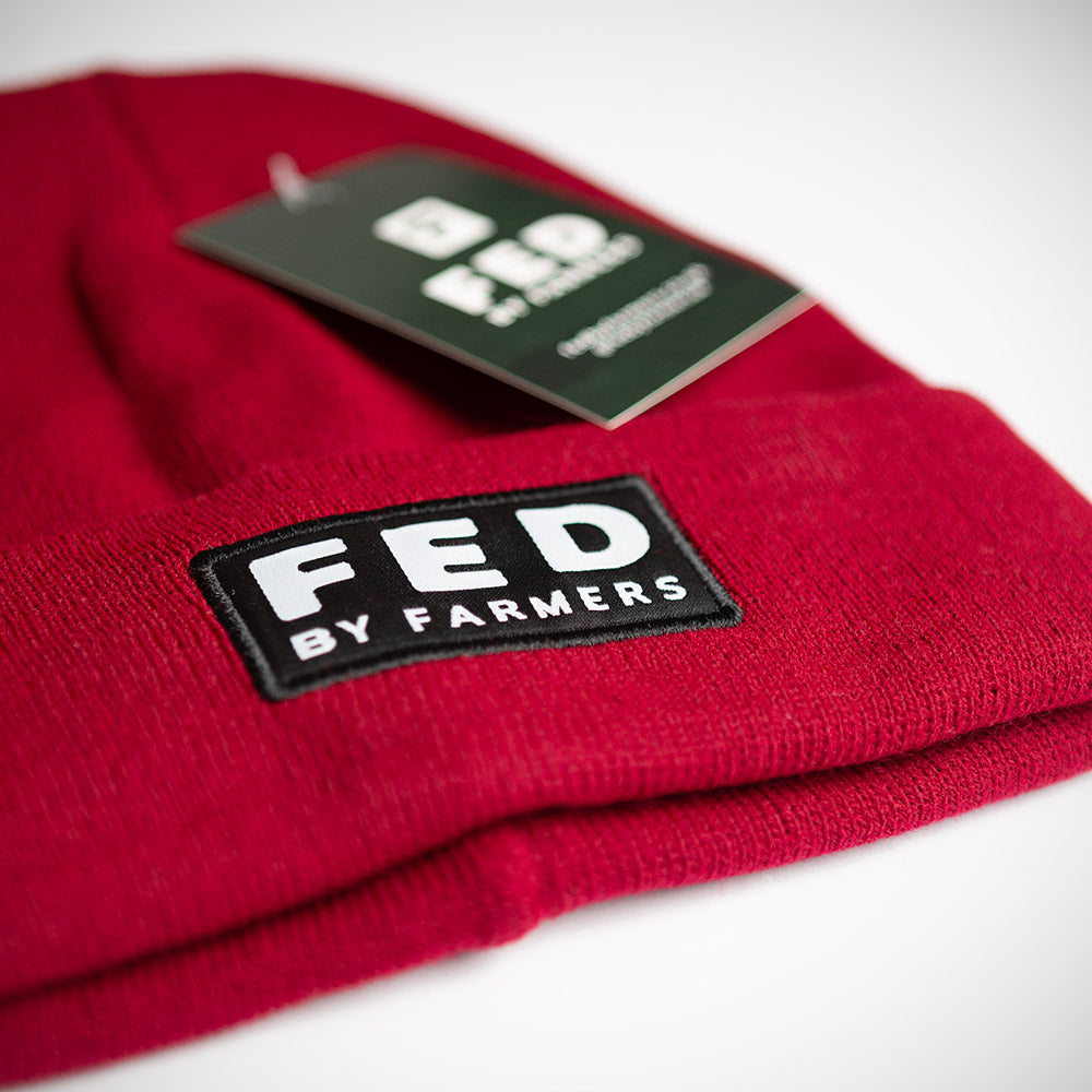 FED Beanie in Maroon
